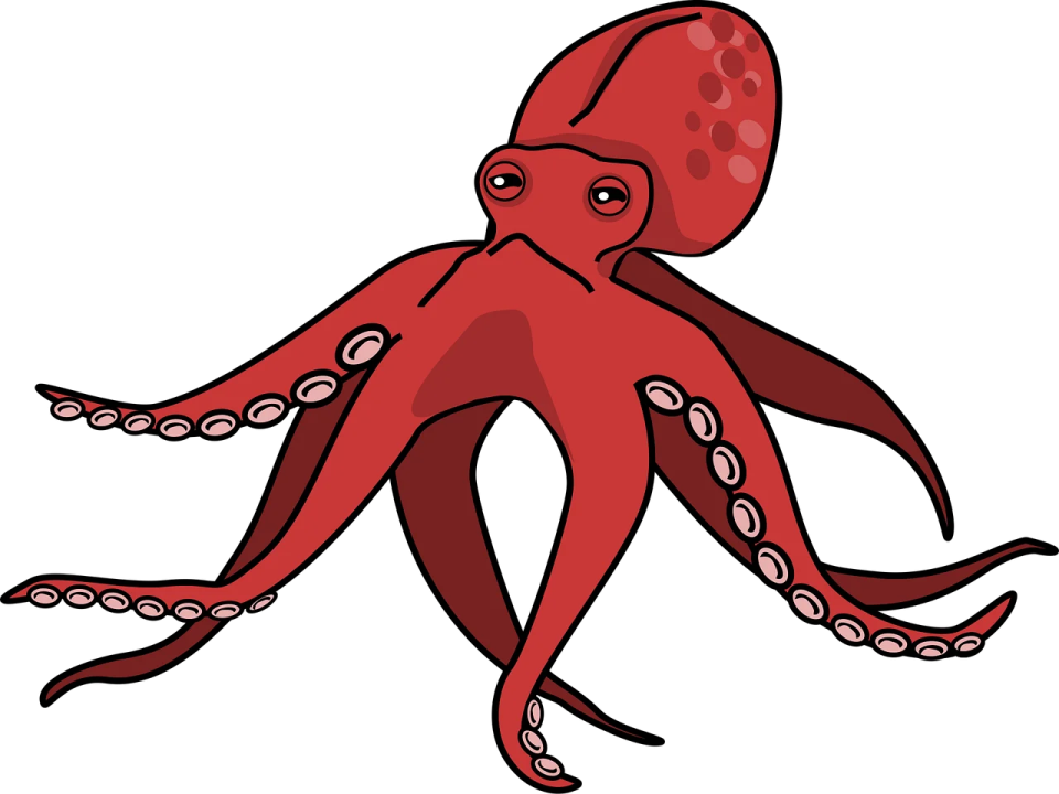 an octopus octopus clipart