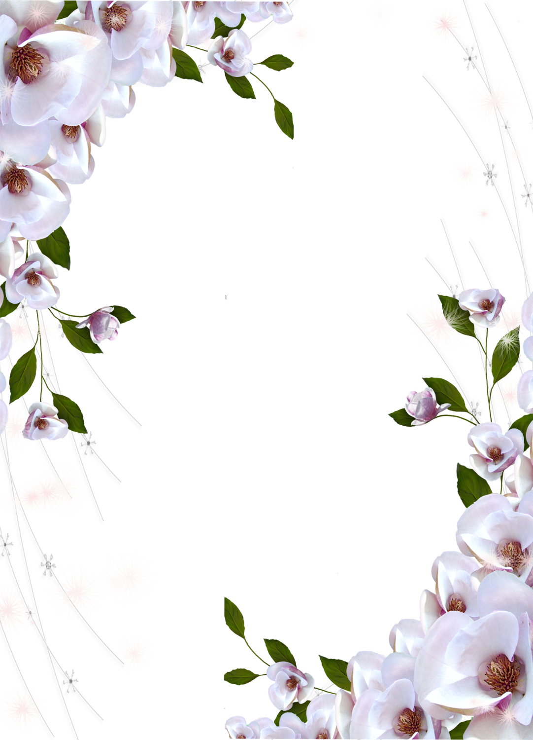 a frame with white flowers and green leaves