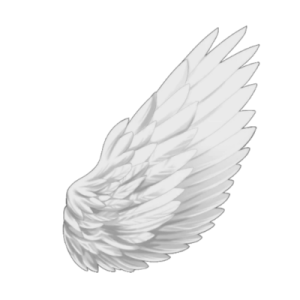 an image of a white angel's wings