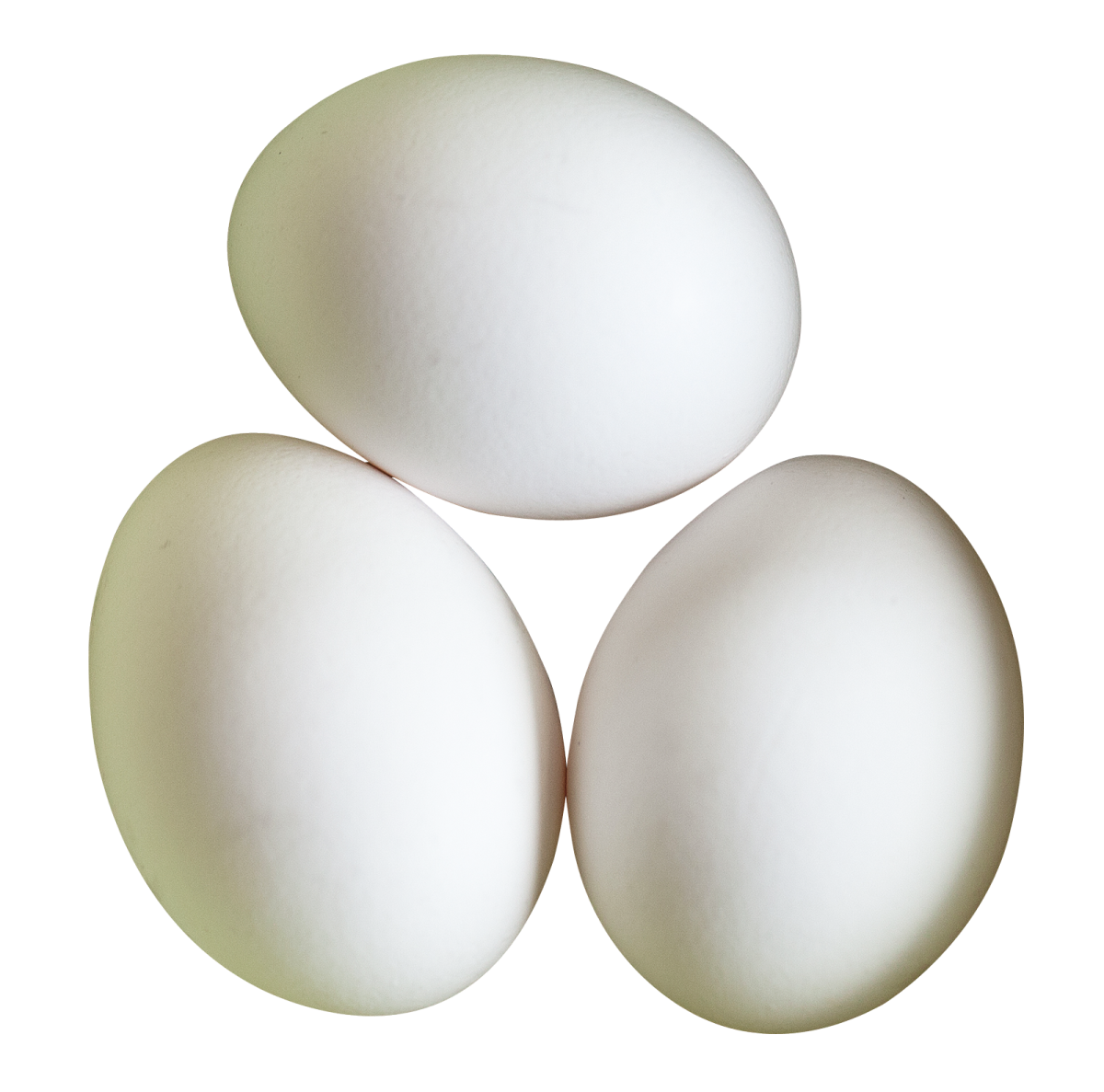 three white eggs on a white background