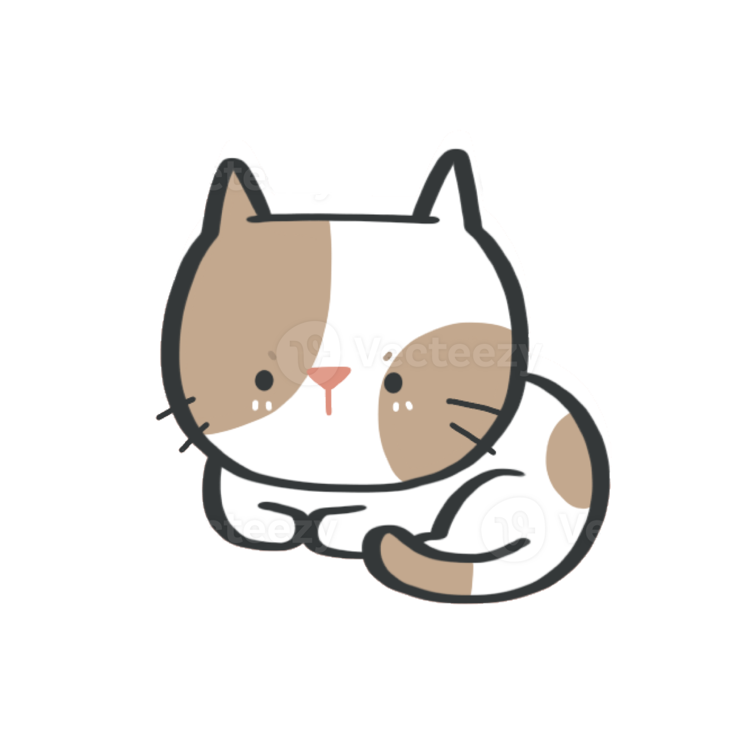 a brown and white cat sitting on its back