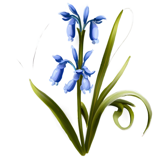 a blue flower on a white background