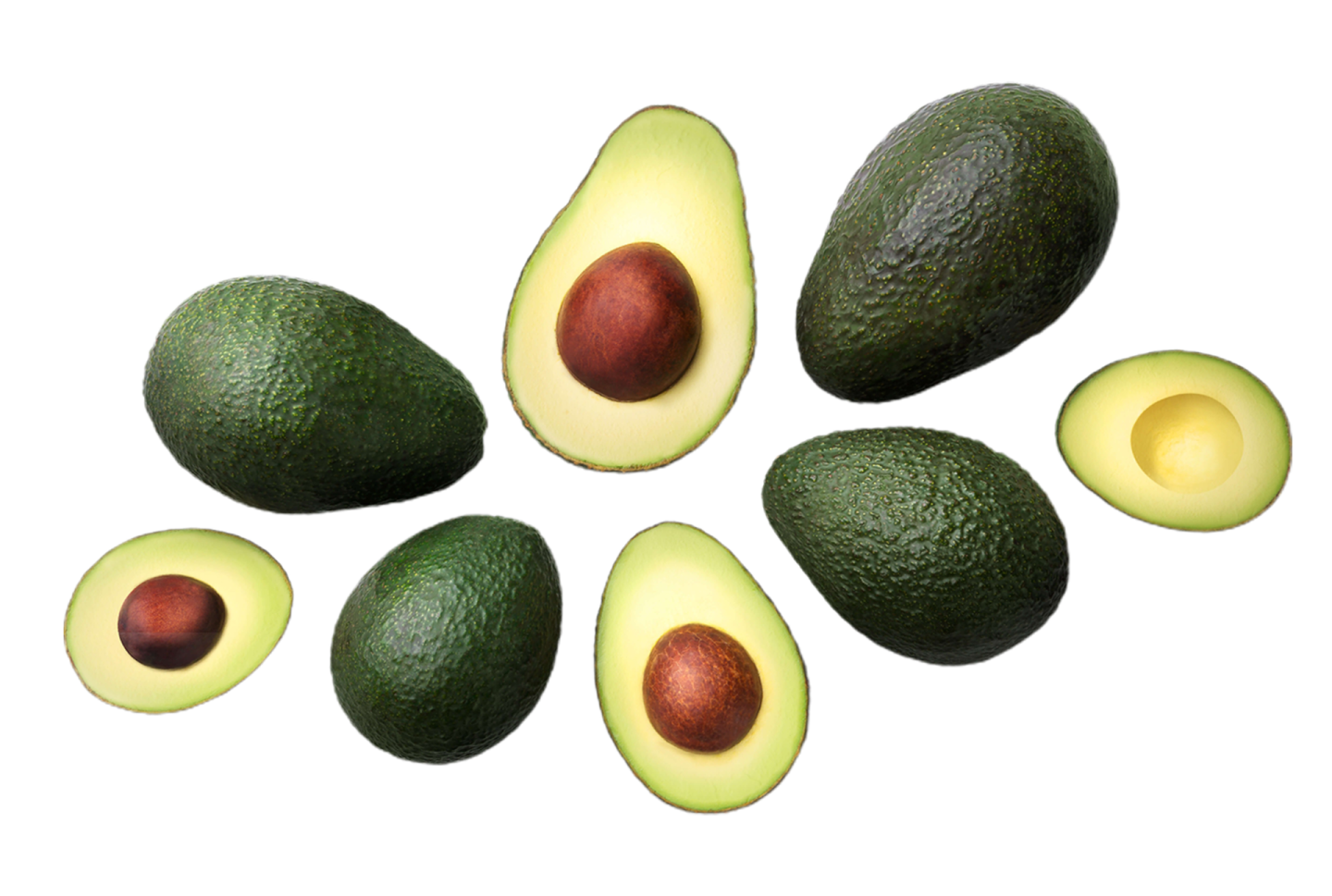 avocas on a white background