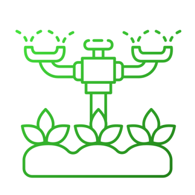 a green plant with three candles on top of it