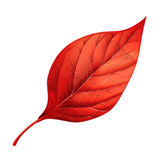 a red leaf on white background
