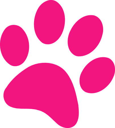 a pink paw on a white background