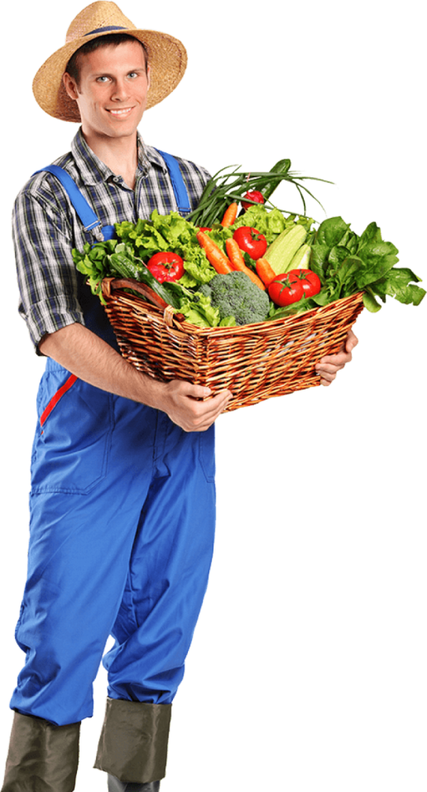 a man holding a basket full of vegetables