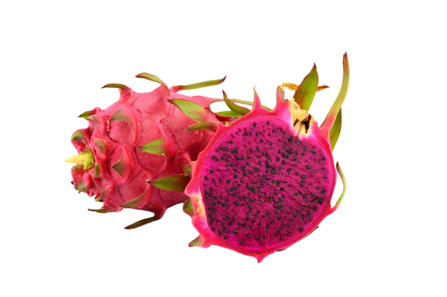 dragon fruit on a white background