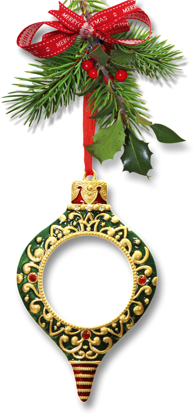 a christmas orname hanging on a tree branch