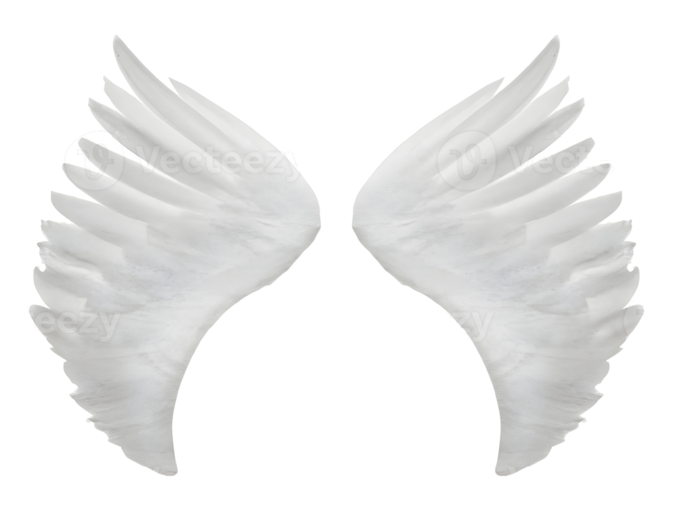 a pair of white wings on a white background