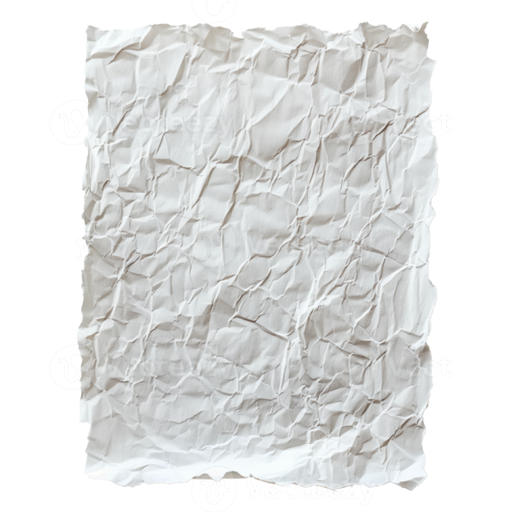 a piece of crumpled paper on a white background