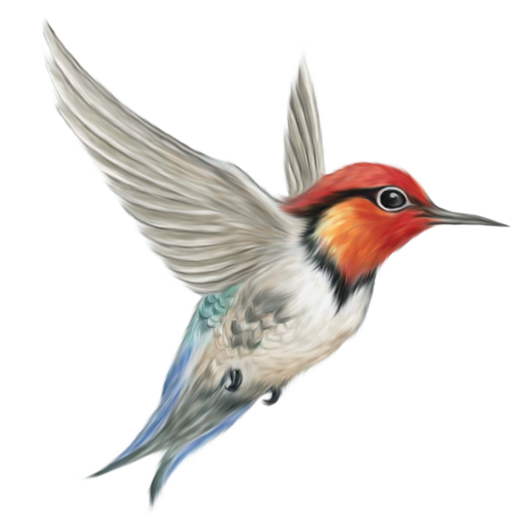 a painting of a bird with its wings spread