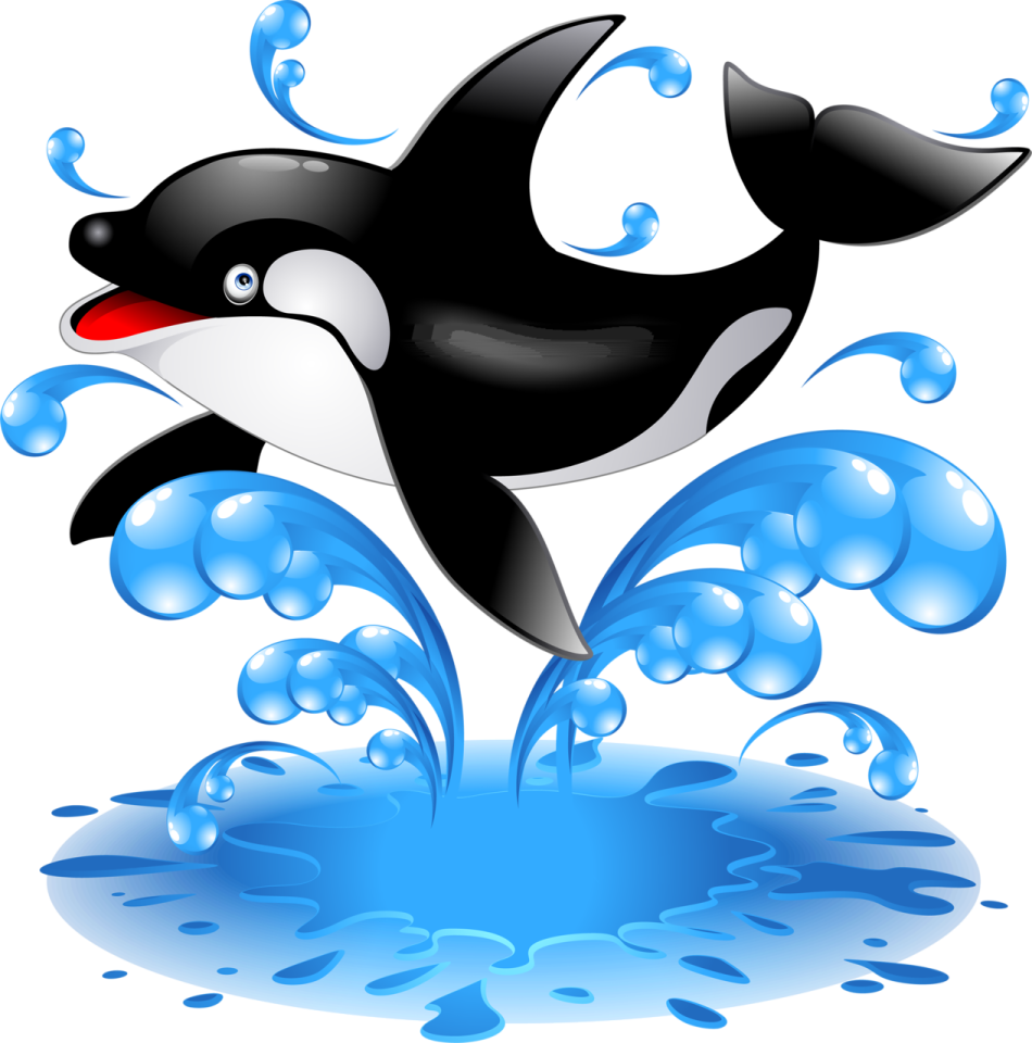 an orca jumping out of the water