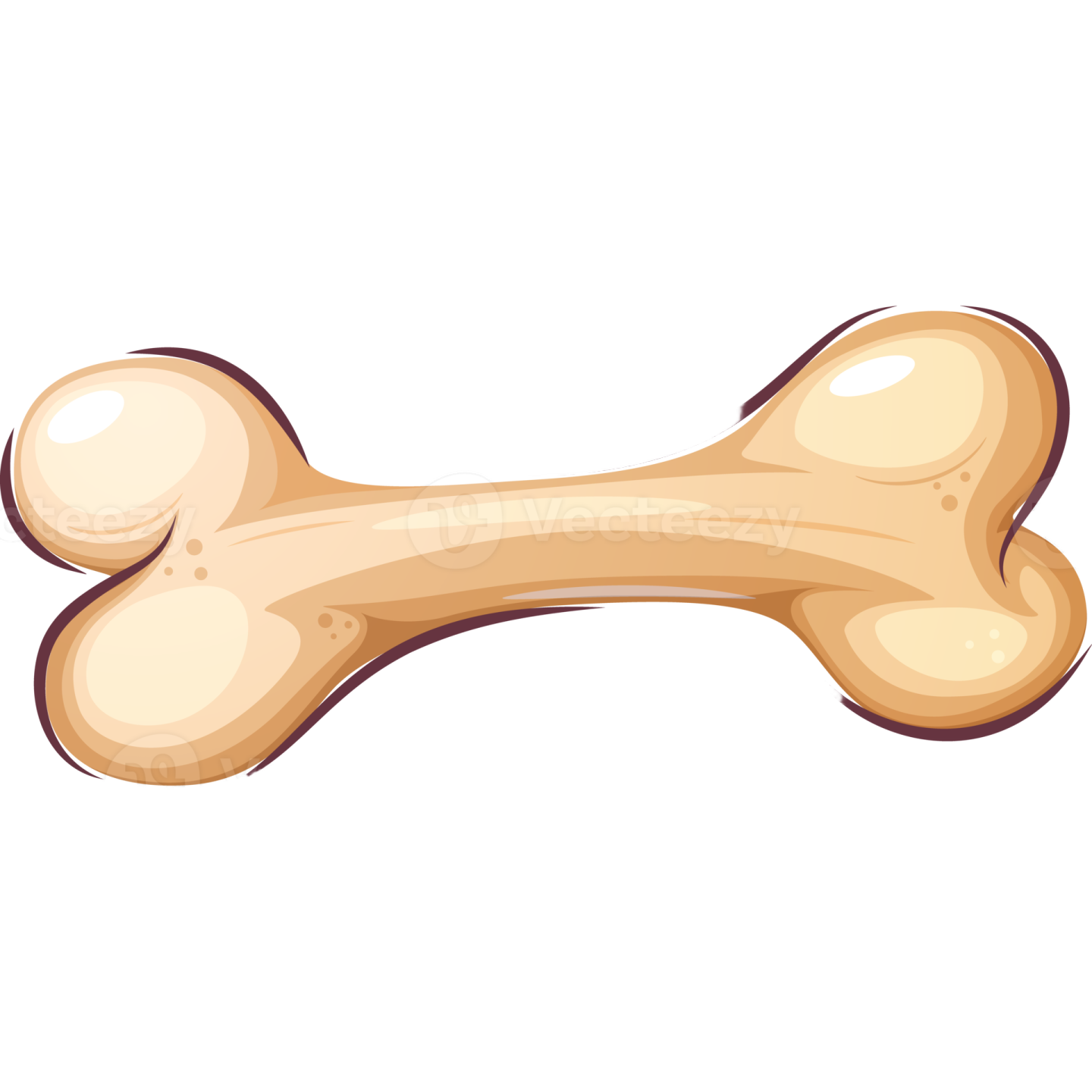 A cartoon bone
