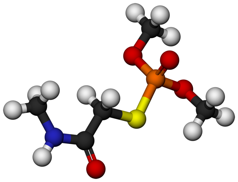 an image of a molecule