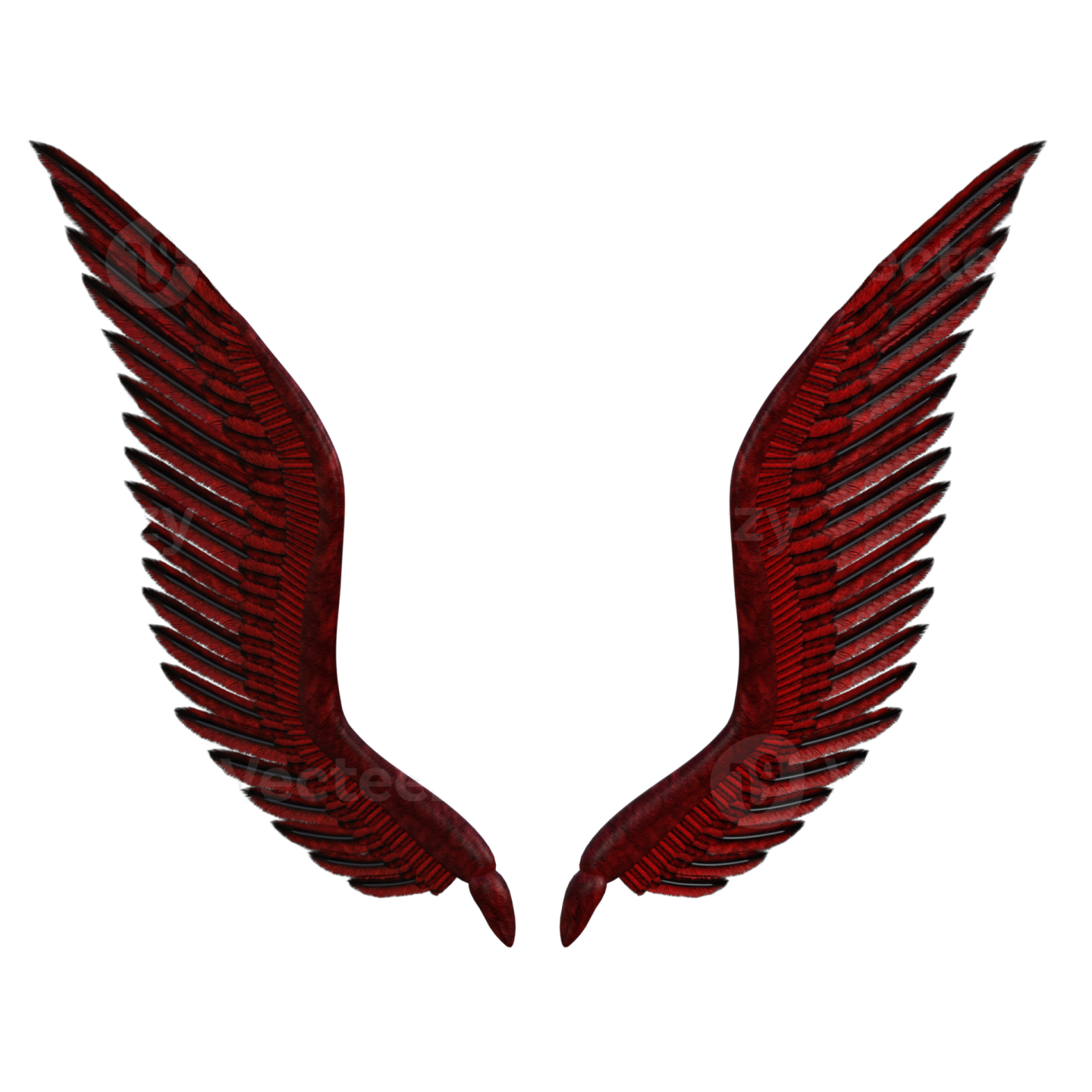 a pair of red wings