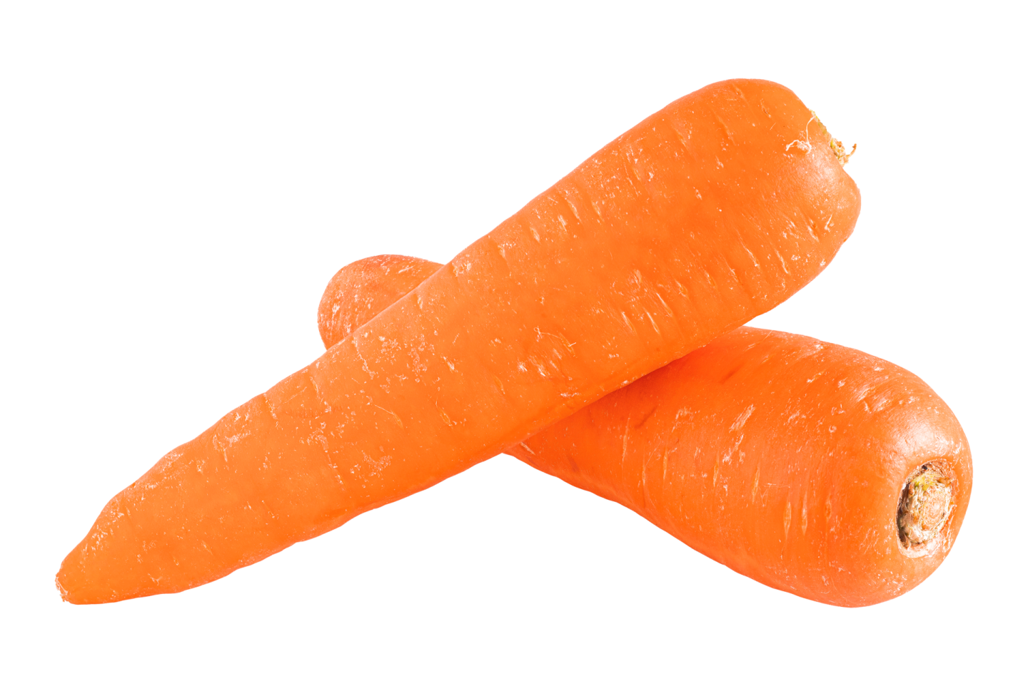 two carrots on a white background