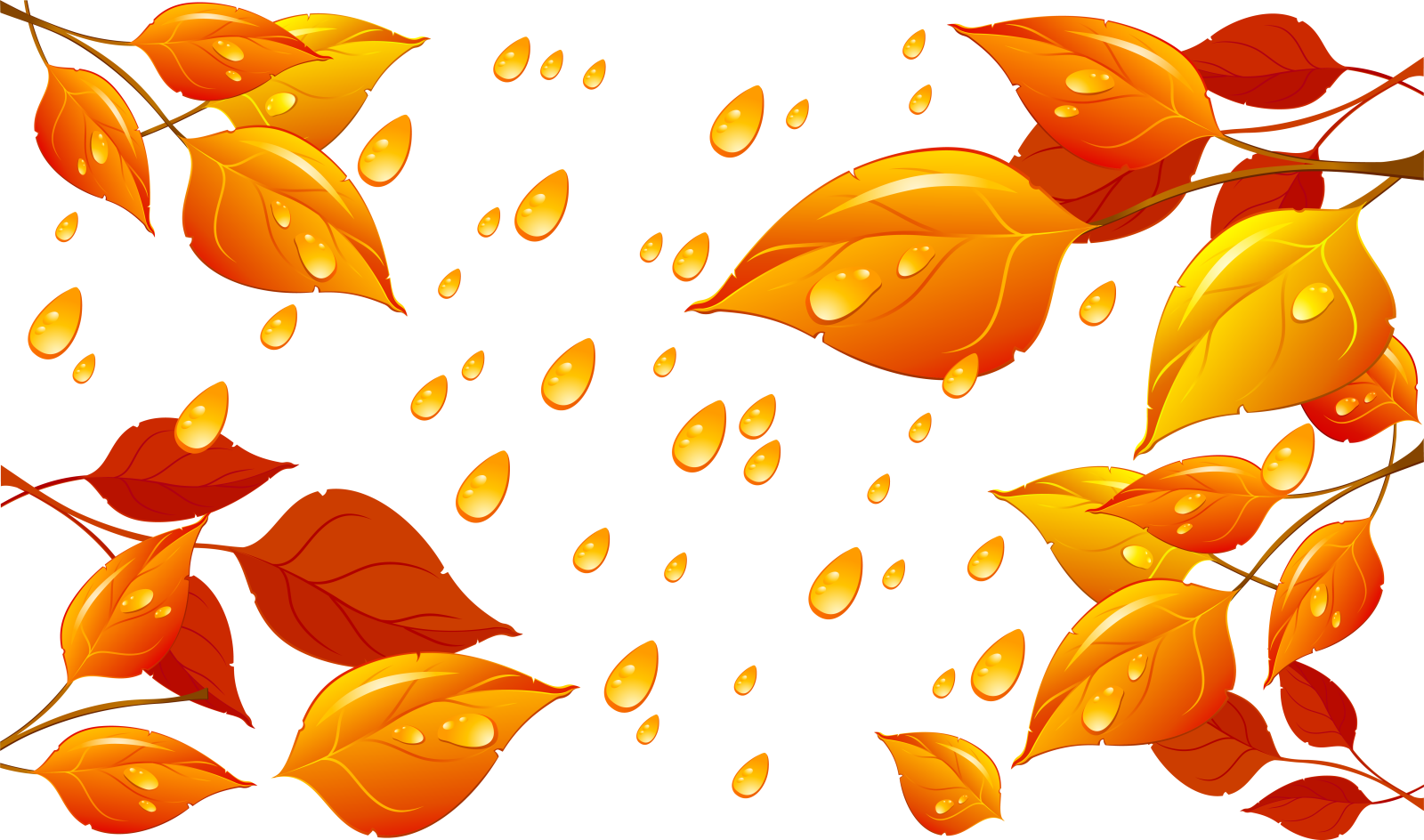 a seam of autumn leaves and drops
