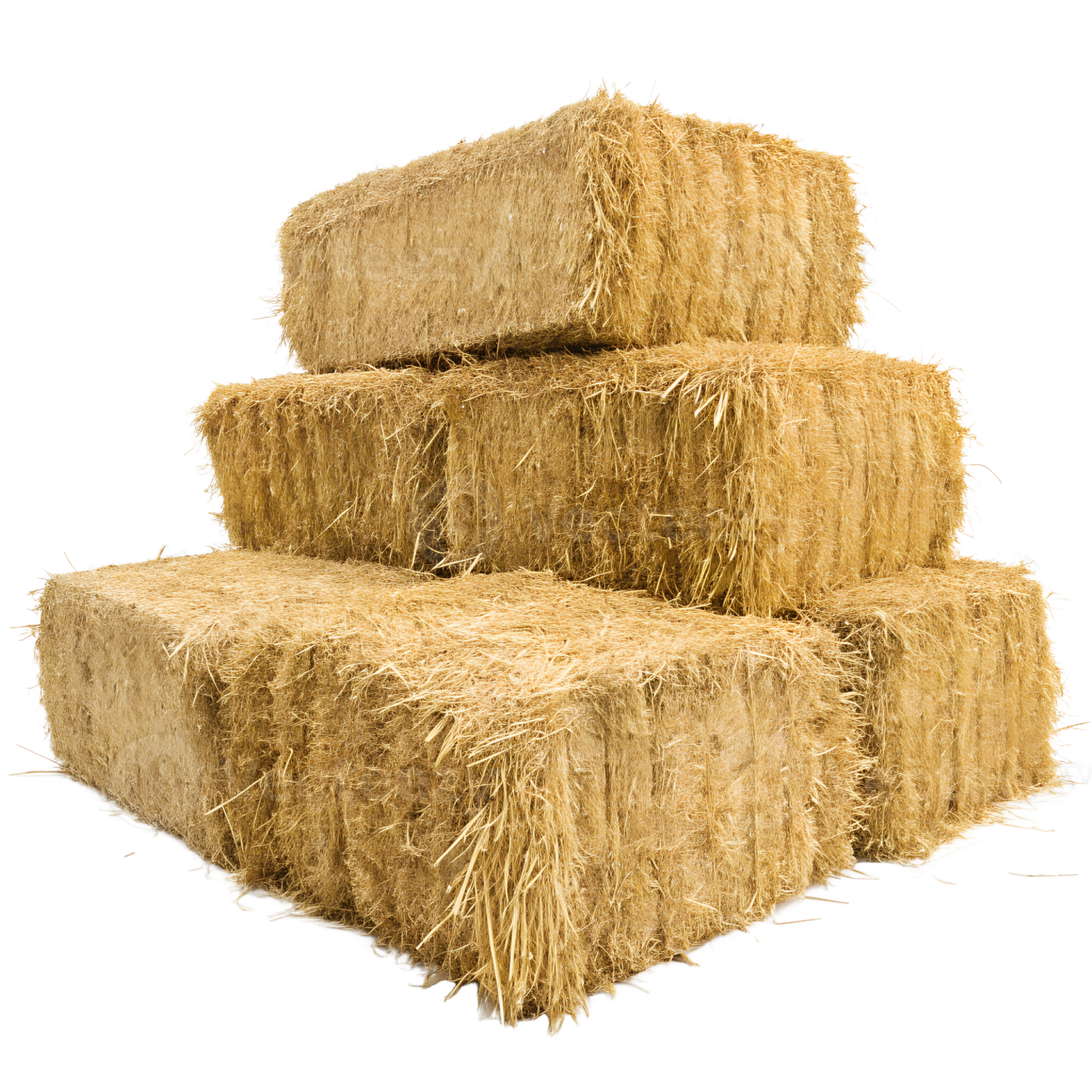 a pile of hay on a white background