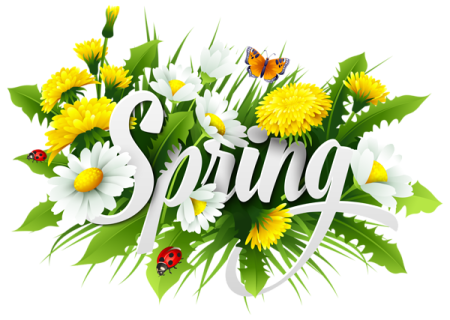 the word spring surrounded by flowers and butterflies
