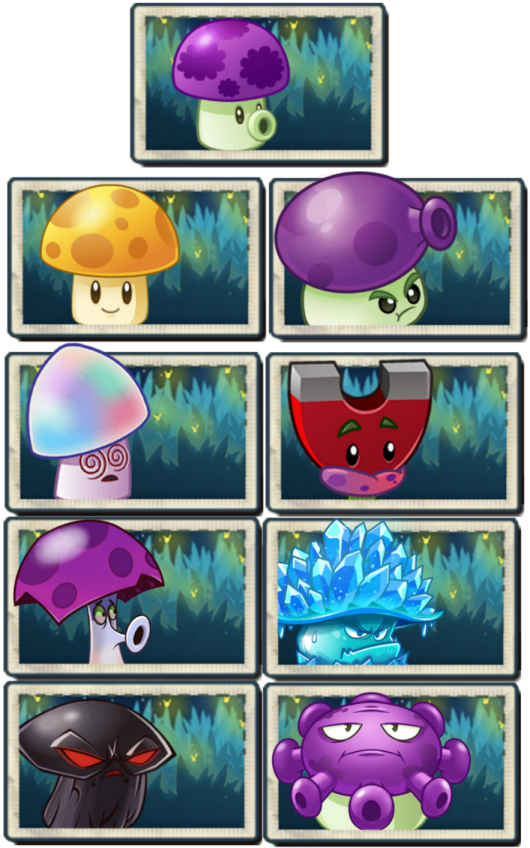 a bunch of different types of mushrooms