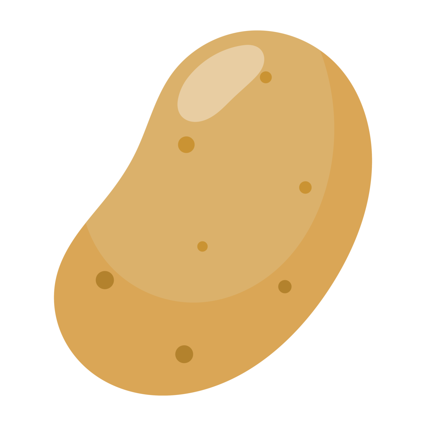 a potato on a white background