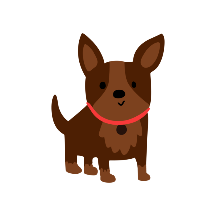 a brown dog with a red collar