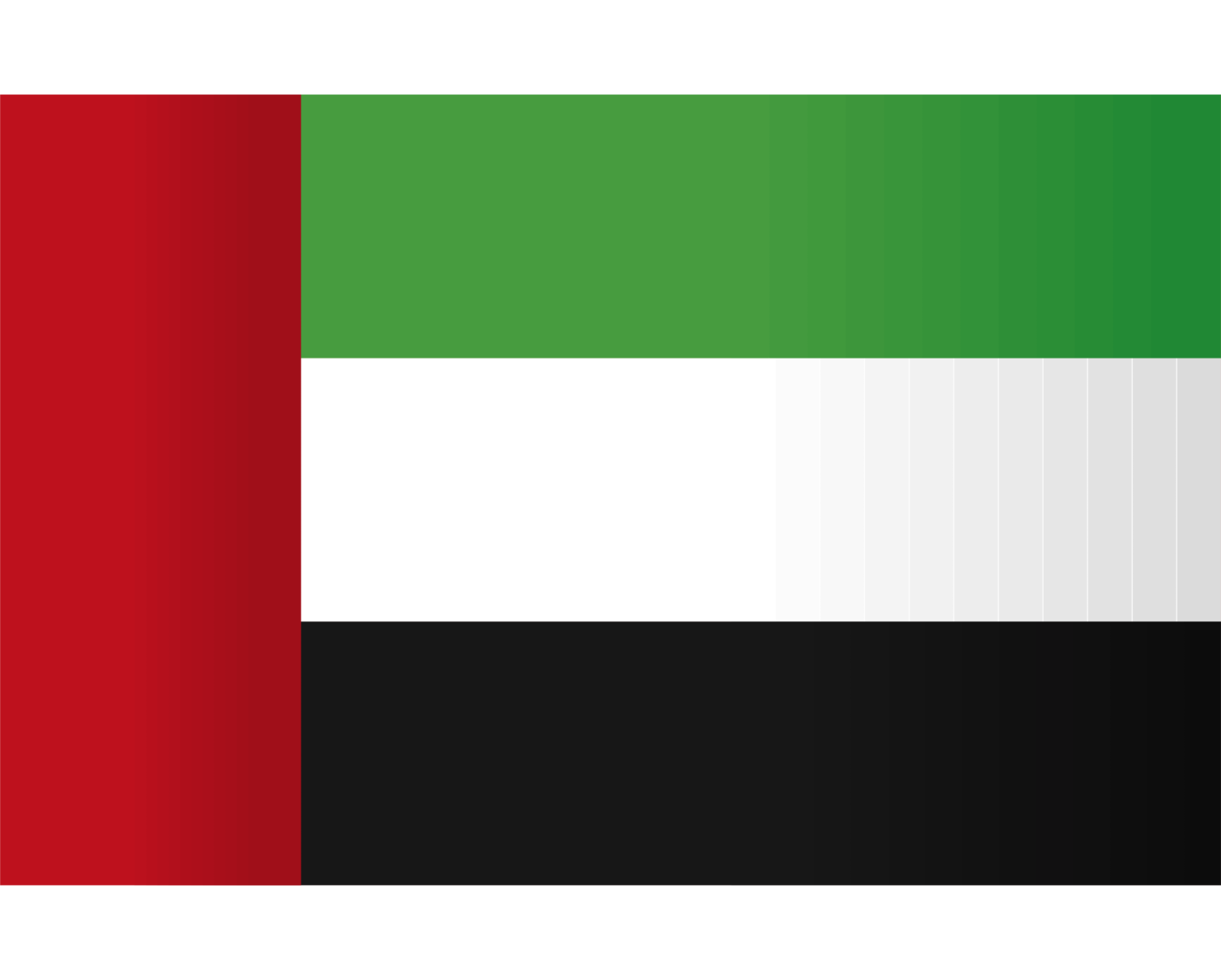 the uae flag