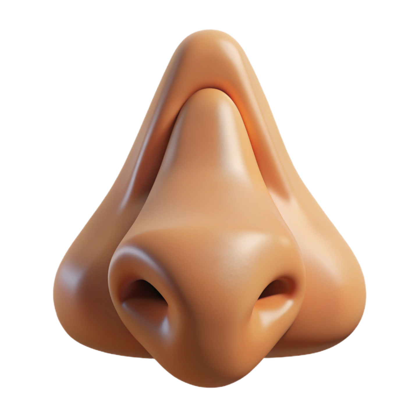 a close up view of the nose