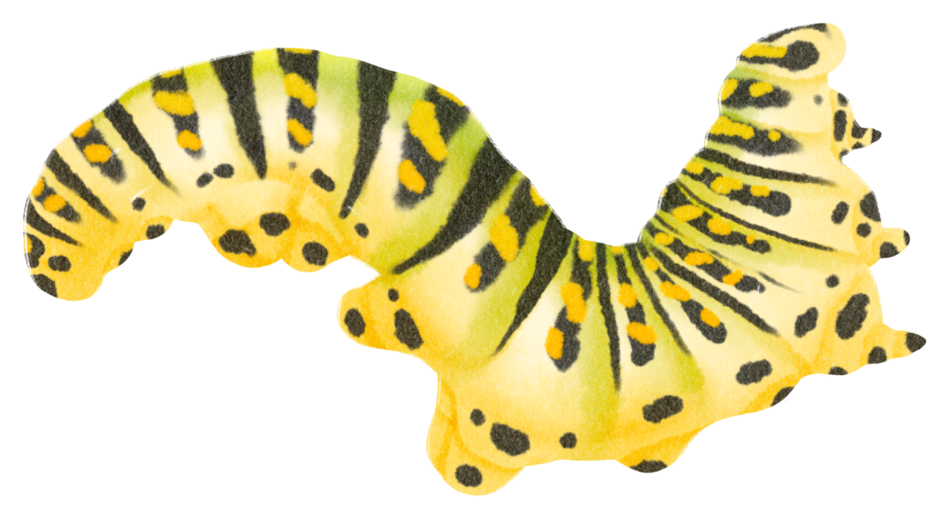 a yellow and black striped cat toy