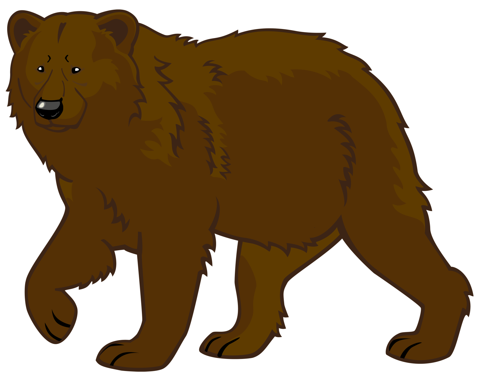 a brown bear on a white background