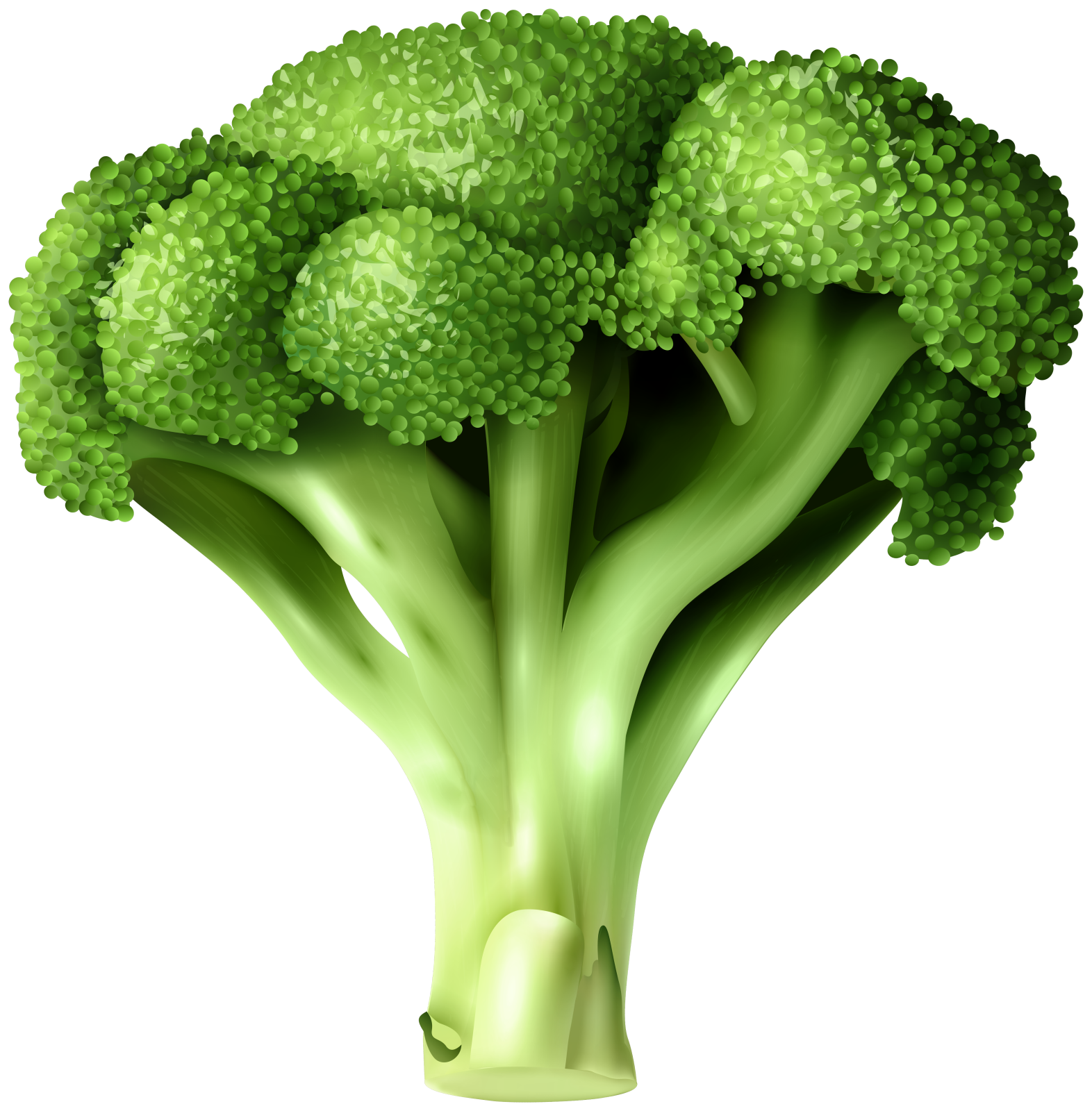 a close up of a bunch of broccote