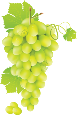 a bunch of grapes with green leaves