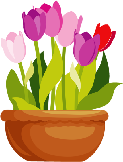 a pot filled with pink and red flowers