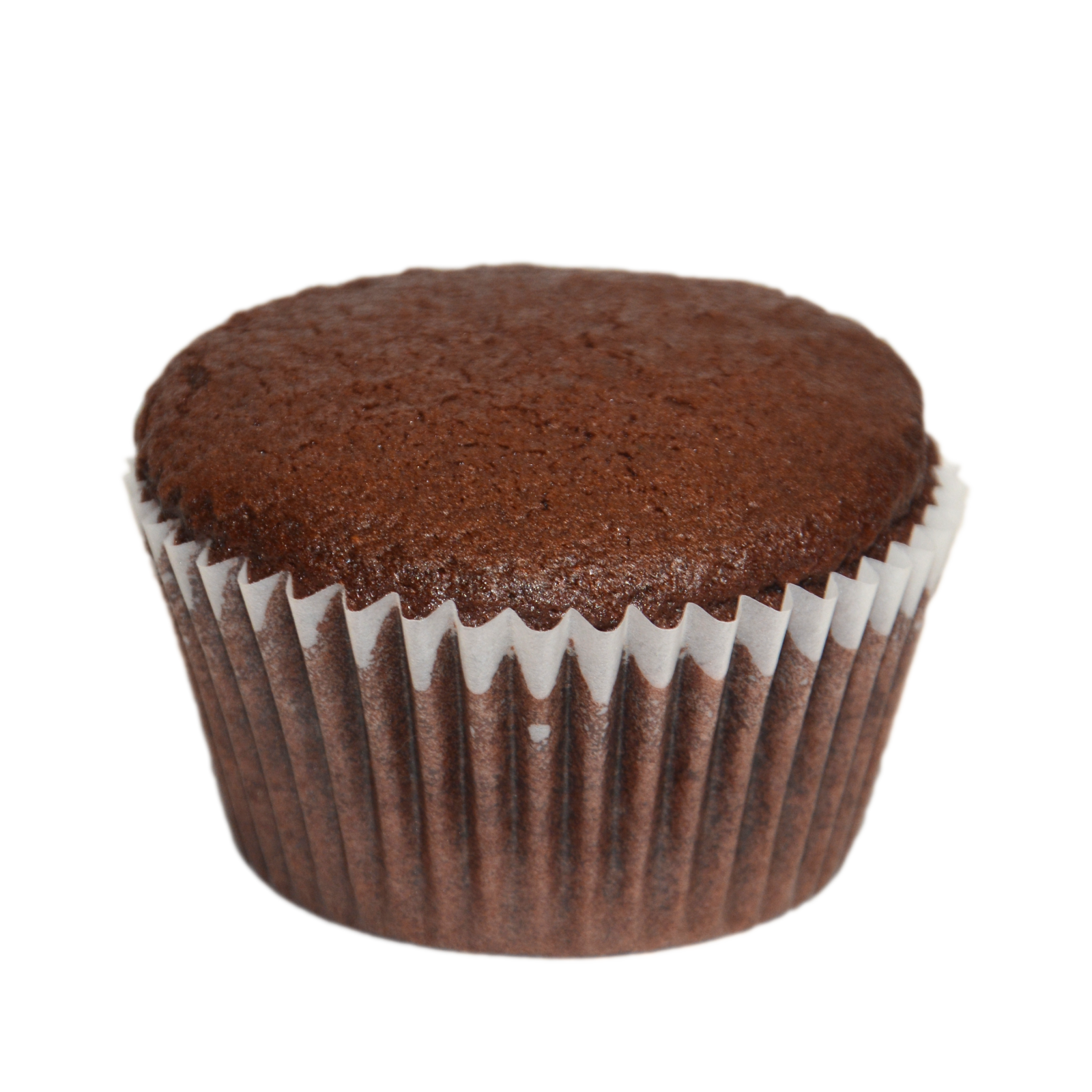 a chocolate cupcake on a white background