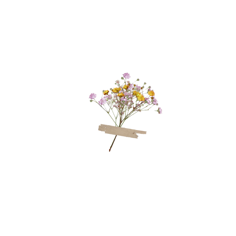 a bunch of flowers on a white background