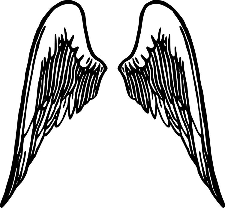 a pair of black and white angel wings