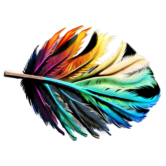 a colorful feather on a white background