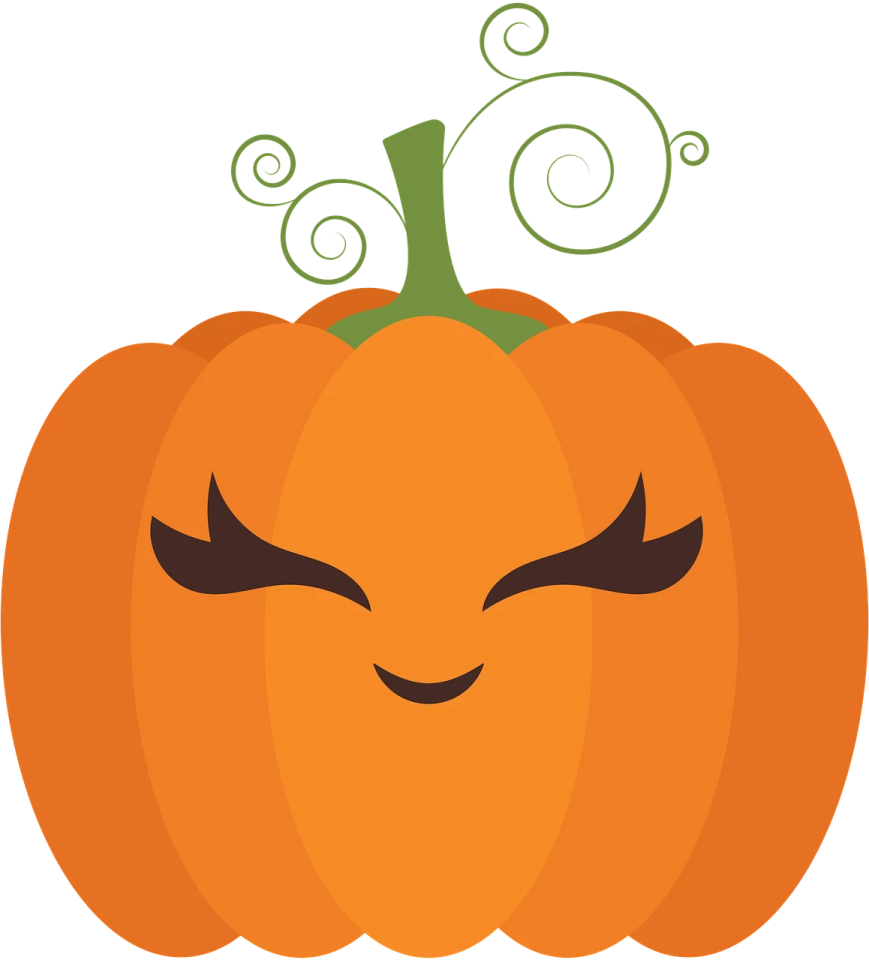 an orange pumpkin with a green leaf on top