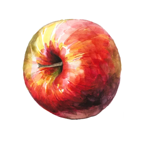a watercolor painting of an apple