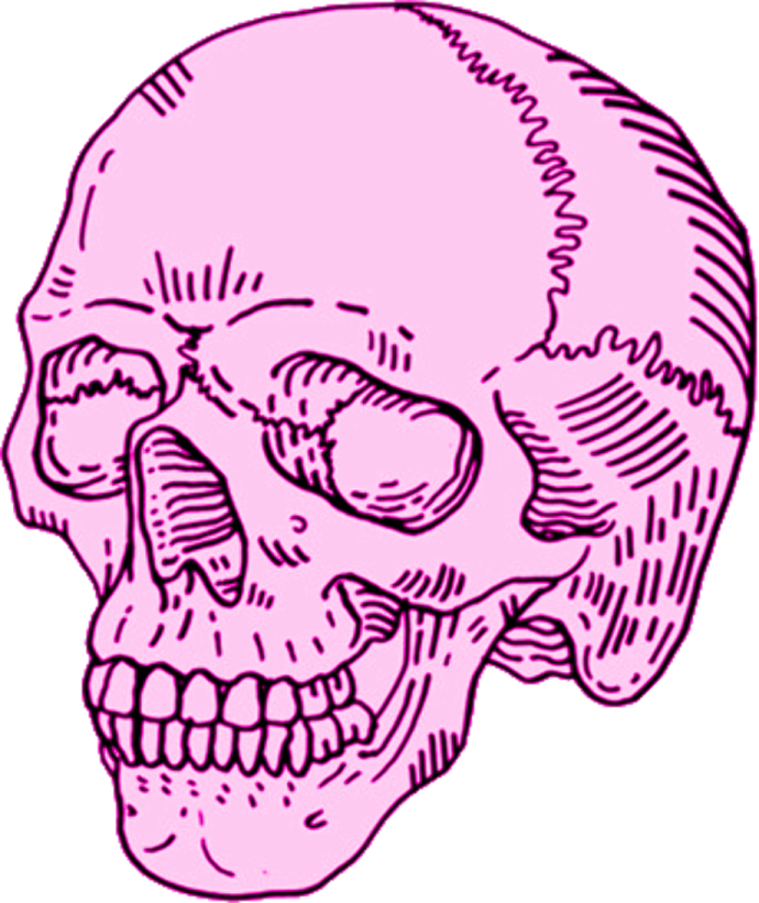 a drawing of a skull
