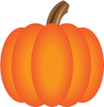 a pumpkin on a white background