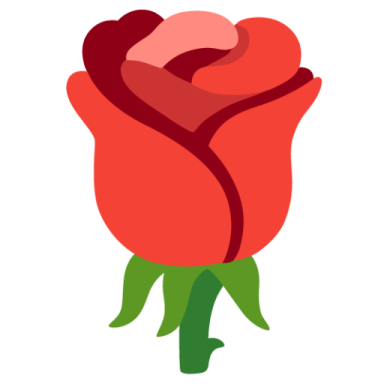 a red rose on a white background
