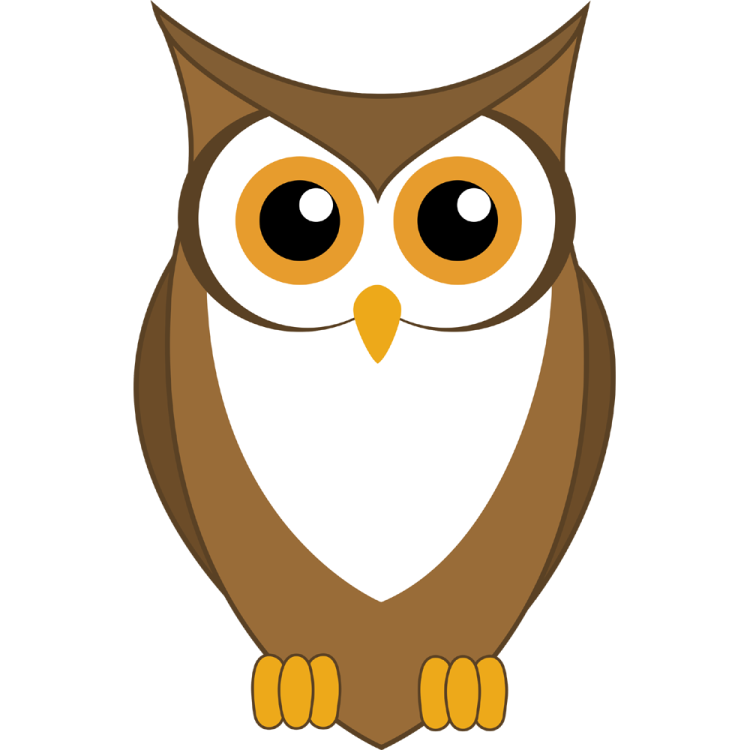 an owl sitting on a white background