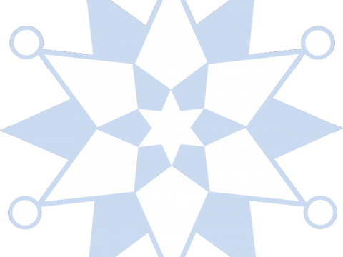 a snowflorer logo in blue and white