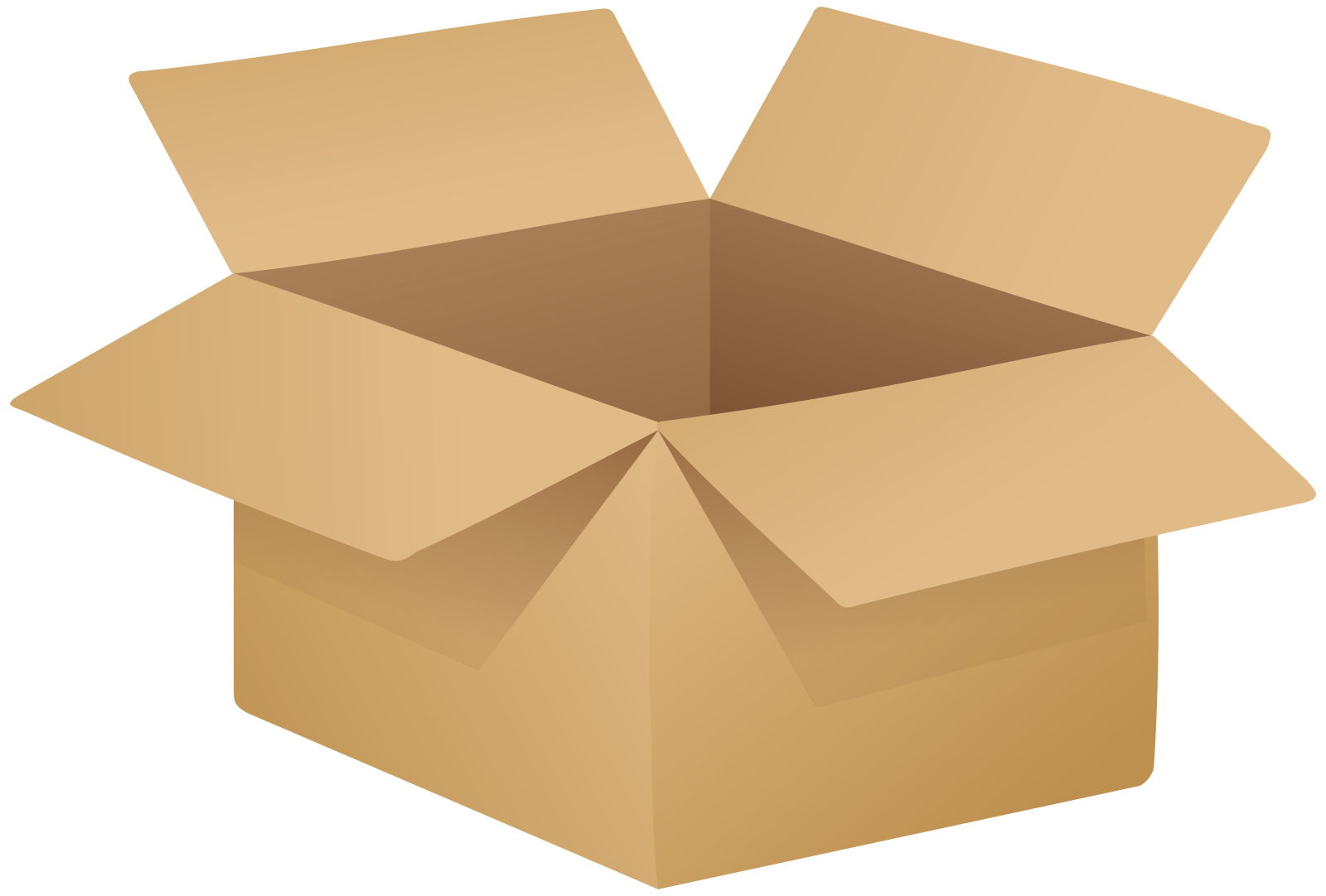 an open cardboard box