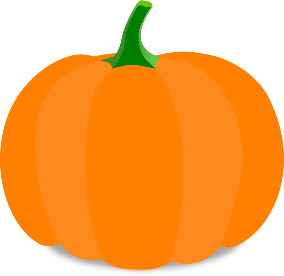 an orange pumpkin on a white background
