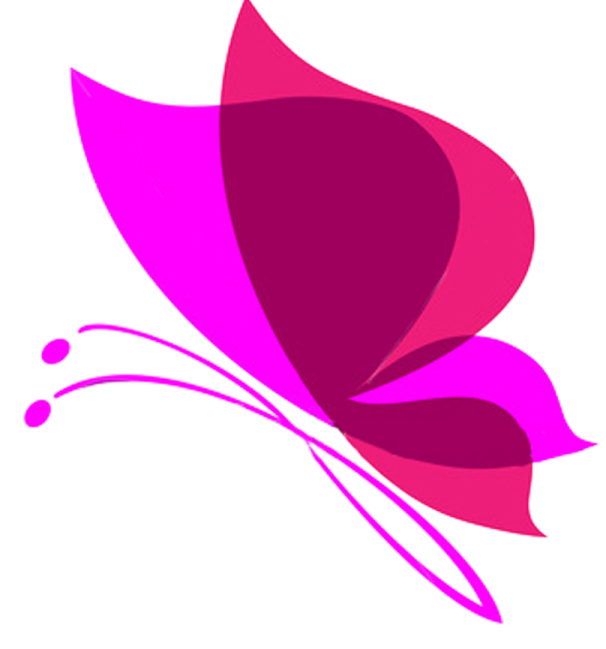 a pink butterfly on a white background