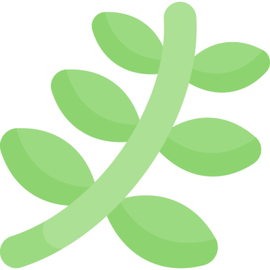 a green leaf on a white background