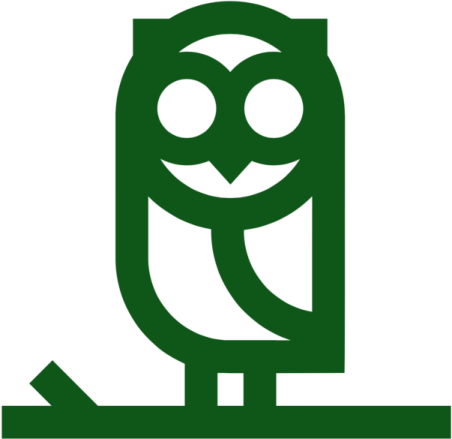 a green owl sitting on a tree branch